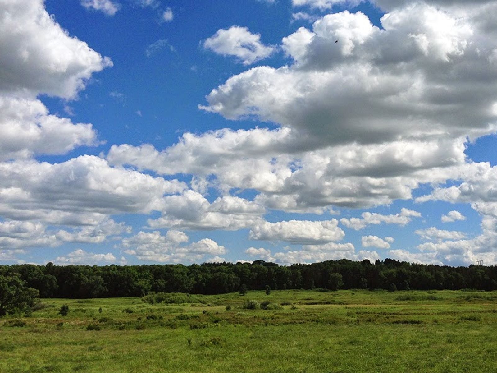 Lush green landscape under a bright blue sky filled with fluffy white clouds.