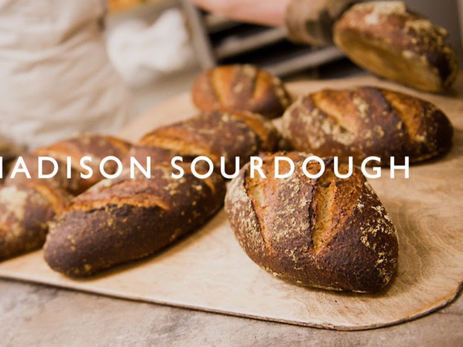 Freshly baked loaves of rustic sourdough bread on a wooden peel at Madison Sourdough bakery.