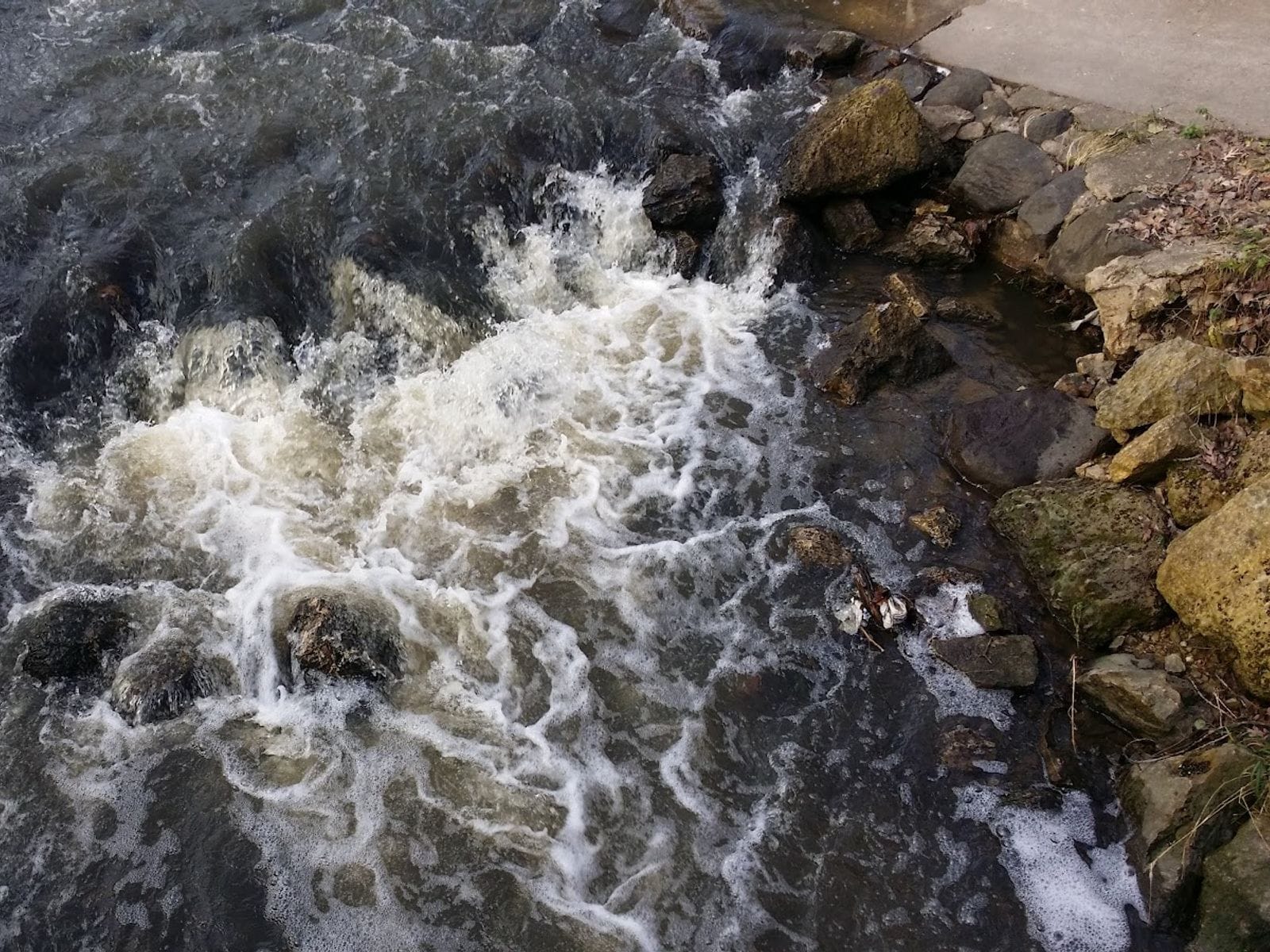 Water rushes over rocks beside a stone-lined bank at Pheasant Branch Conservancy.