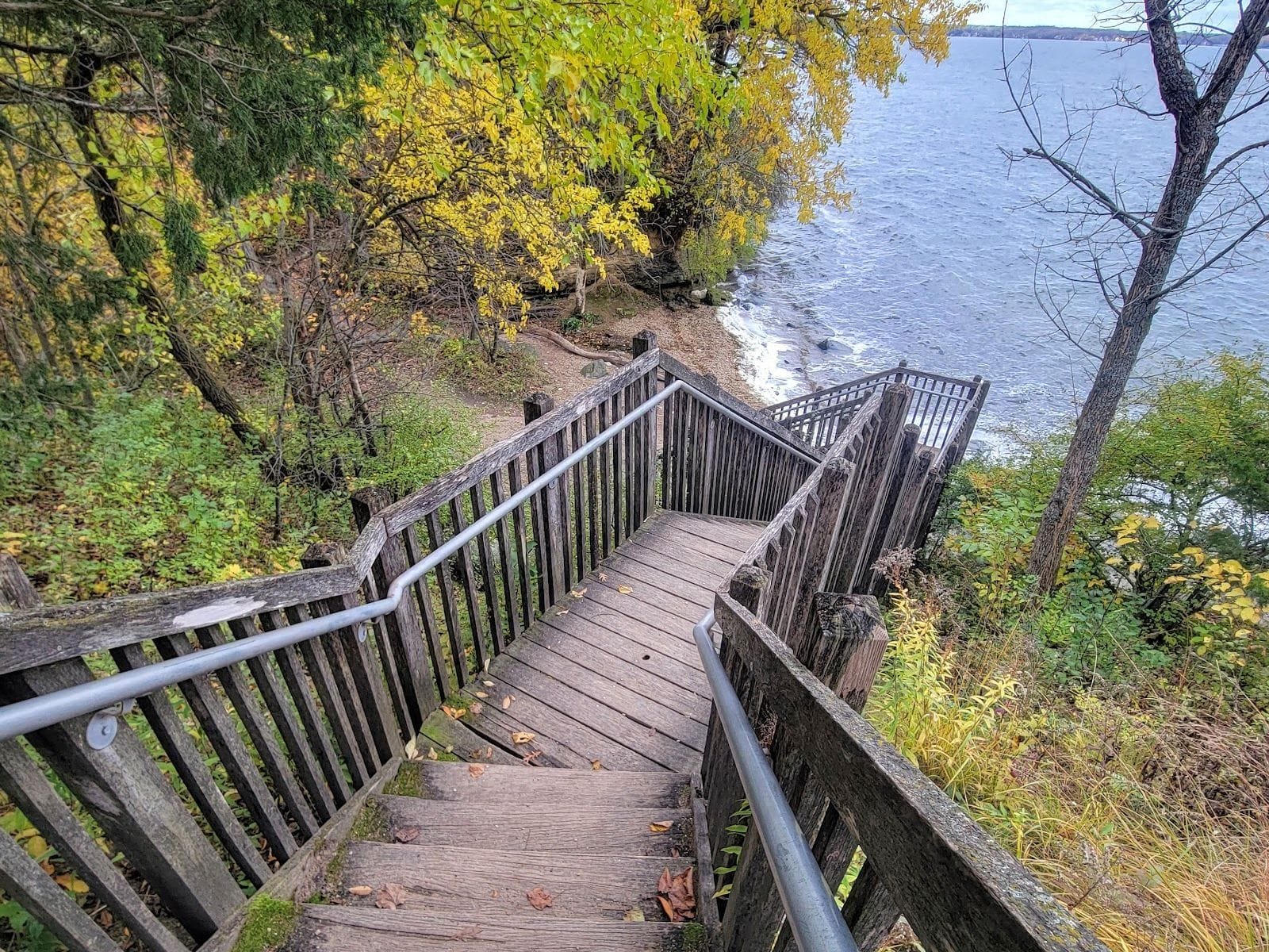 Wooden staircase leads down through autumn trees to a rocky shoreline at Raymer's Cove.