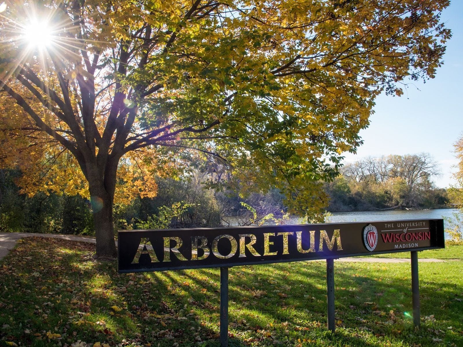 Sunlight filters through autumn leaves above a sign for the University of Wisconsin–Madison Arboretum.