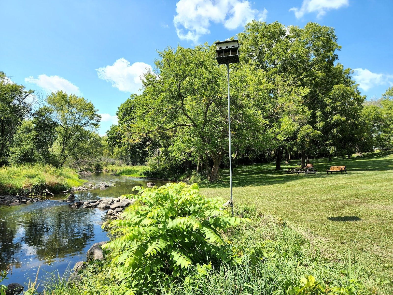 Riverside meadow with picnic tables, lush trees, and clear blue sky at White River County Park.