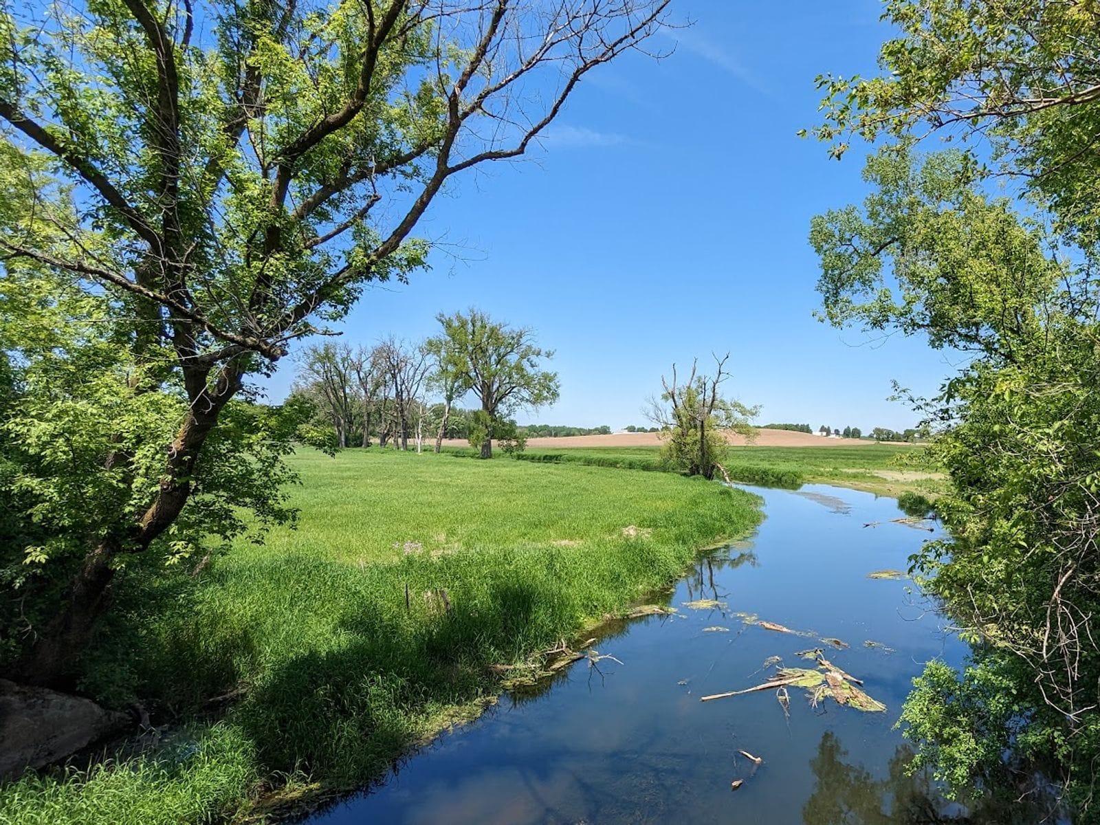 Calm stream reflecting blue sky, bordered by lush green trees and open grassy fields under clear skies.