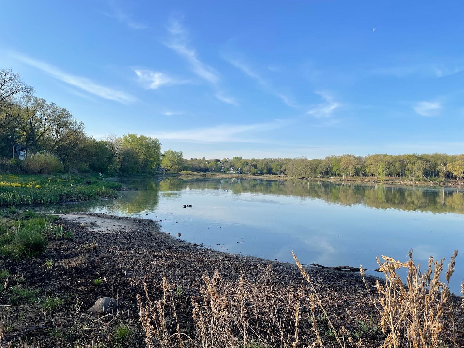 Calm pond with clear reflections, surrounded by trees and grasses under a bright blue sky.