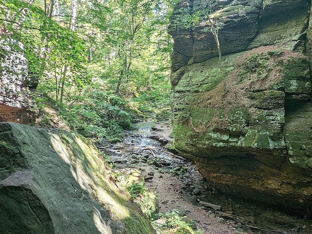Where to Find the Most Peaceful Early Morning Hikes in Dane County