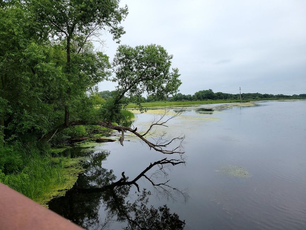 Yahara River Trail Walking Bridge in Stoughton, WI