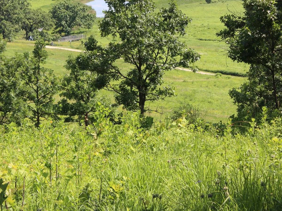 Best Madison WI Walking Trails: 2025 Essential Guide