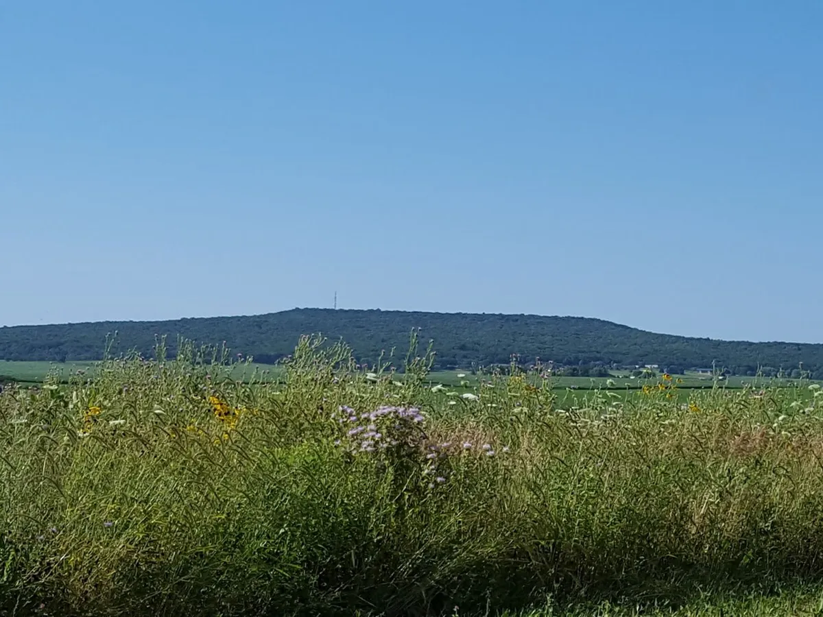 Barneveld Prairie in Barneveld, WI