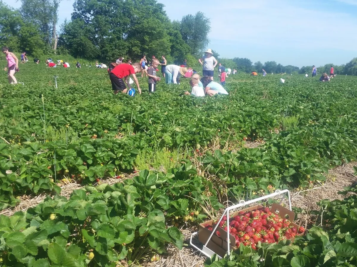 Carandale Farm in Oregon, WI