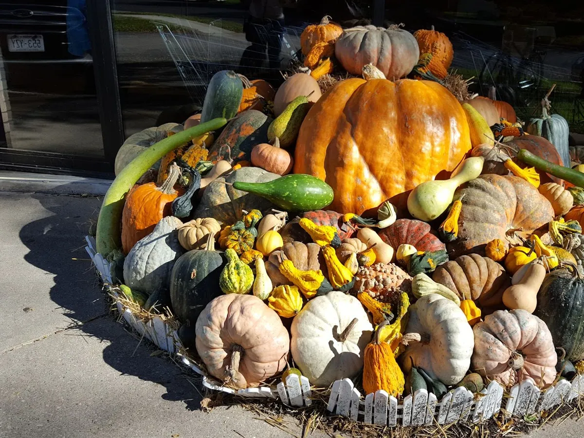 Clasen's European Bakery in Middleton, WI