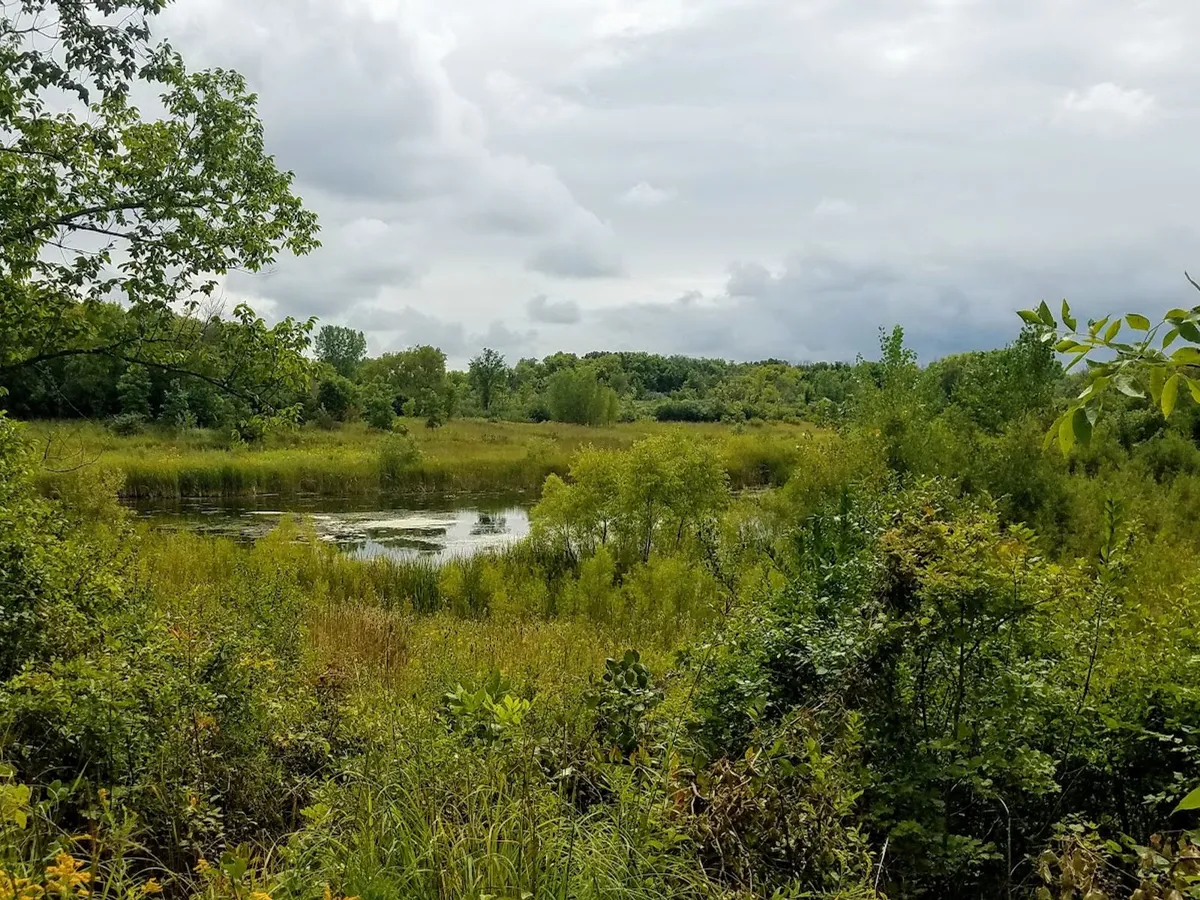 Havenwoods State Forest in Milwaukee, WI