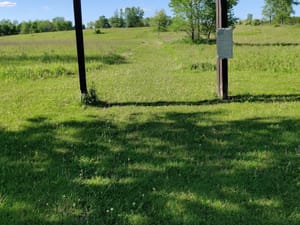 Open prairie landscape with a signpost and lush green grass under a clear blue sky.