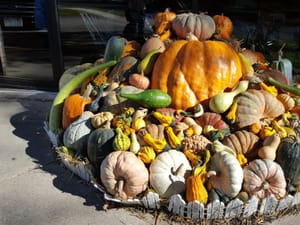 Clasen's European Bakery in Middleton, WI