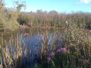Four Seasons Nature Preserve in Lake Geneva, WI