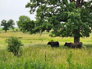 Mound View State Trail in Platteville, WI