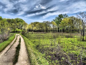 University of Wisconsin–Madison Arboretum in Madison, WI