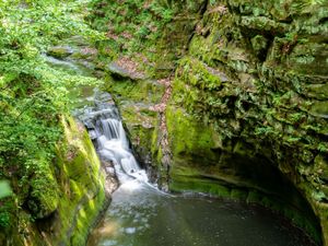 Moss-covered sandstone gorge with a small waterfall flowing into a tranquil pool at Pewit's Nest.