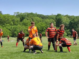 Rugby players in orange and black uniforms compete on a grassy field surrounded by lush green trees.