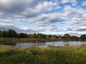 Pond surrounded by tall grass and trees under a sky filled with scattered clouds at Elver Park.