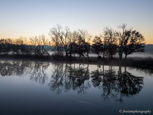 Bare trees and soft mist reflected on calm lake water at sunrise in Fireman's Park Beach.