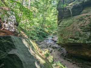Sunlit gorge with mossy rock walls, a small stream, and dense green forest in Parfrey's Glen State Natural Area.