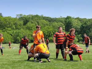 Rugby players in orange and black jerseys prepare for a play on a grassy field with trees in the background.