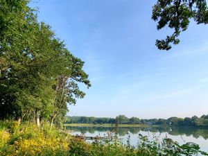 Lush green trees and wildflowers border a calm pond reflecting the blue sky and distant treeline.