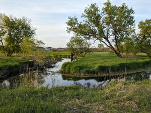 Creek winding through lush green grass and trees with distant houses under a partly cloudy sky.