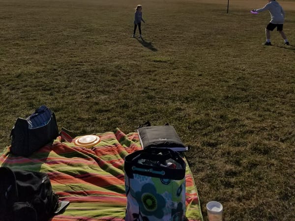 A picnic blanket with bags and a frisbee, children playing in a grassy park.