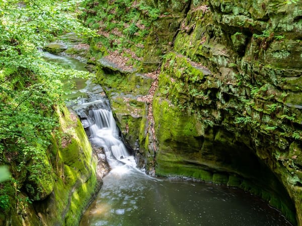 Small waterfall flowing through mossy, green rock canyon surrounded by lush trees and foliage.