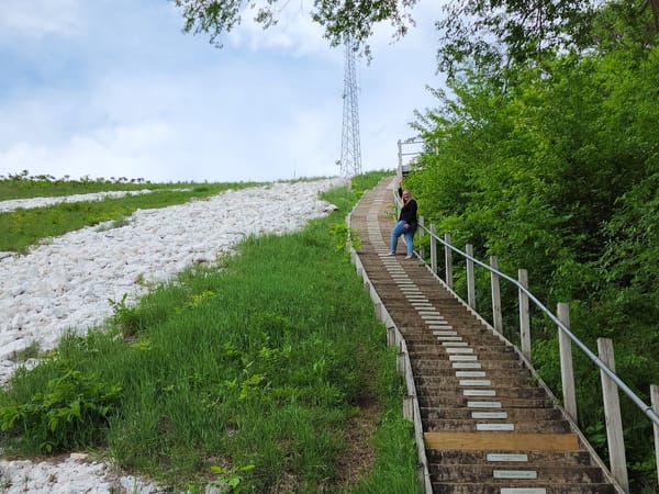 Wooden staircase ascends Platte Mound beside the giant white “M” made of stone, surrounded by greenery.