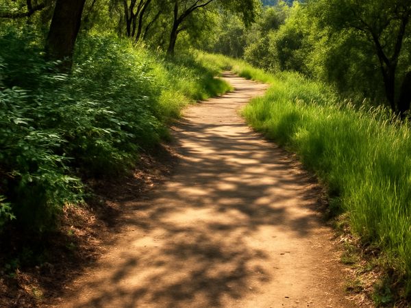 walking trails topic