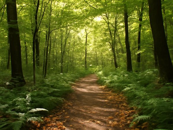 Wisconsin Nature Trails topic